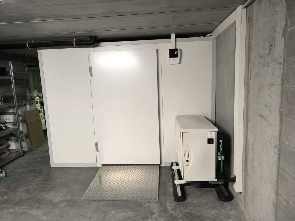 Professioneel diepvriescel